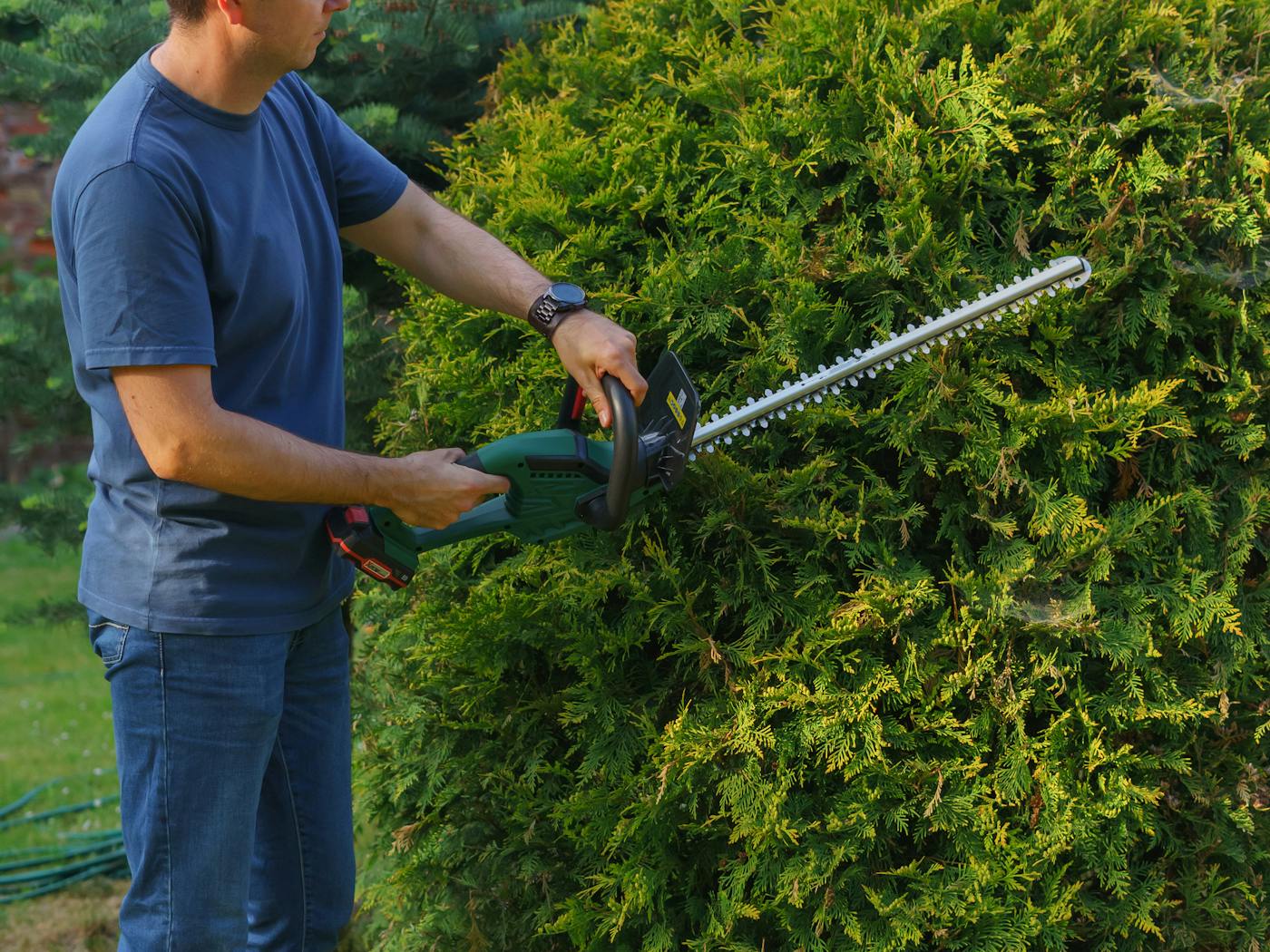 Boxwood hedges shaped into a tight rectangle along a residential walkway in Humble.