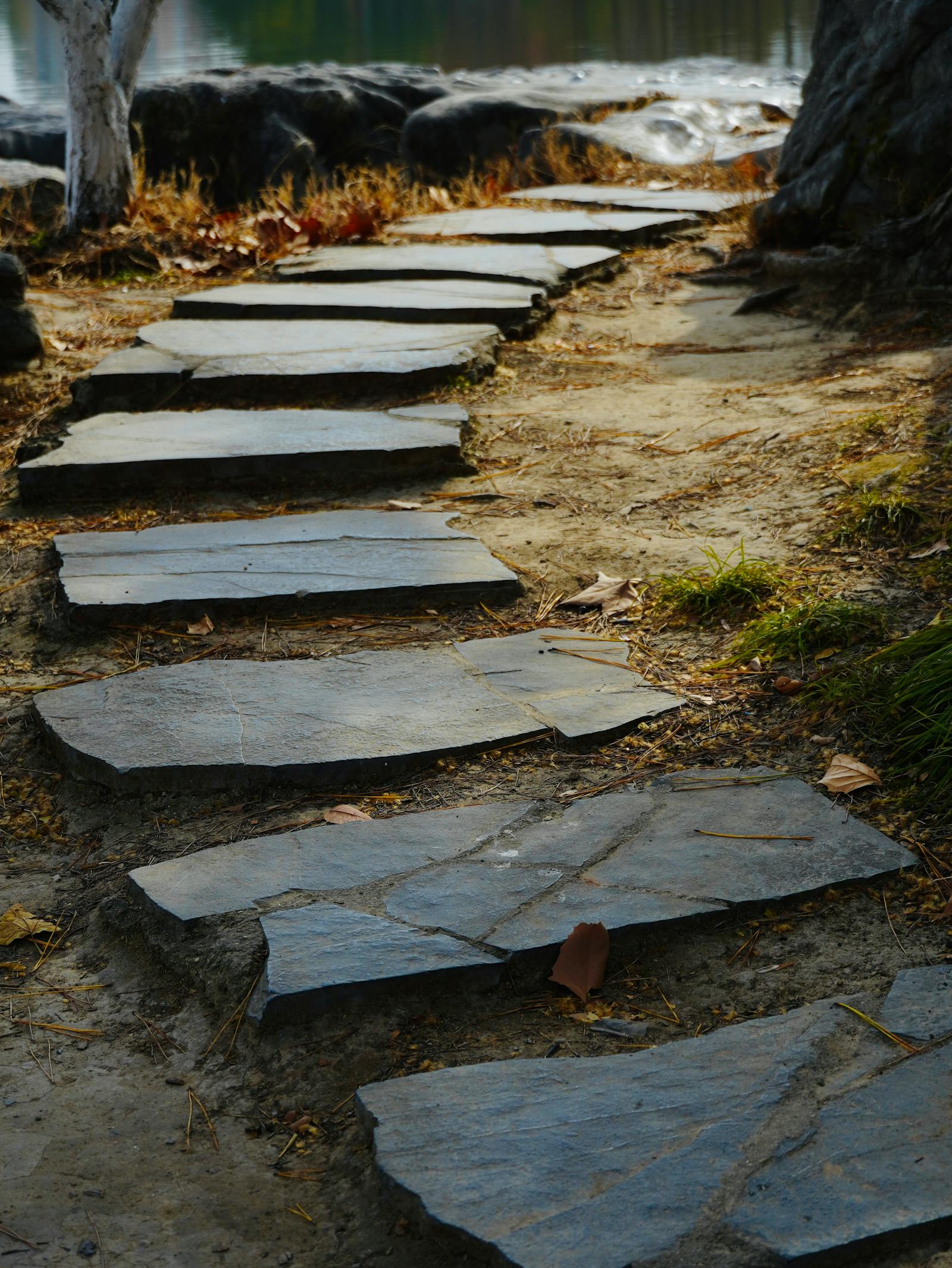 Natural-stone walkway through a planted bed leading to a Humble front door.
